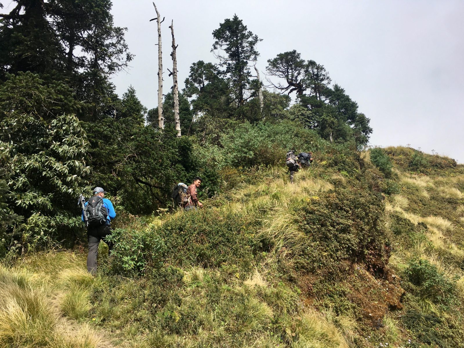 Nepal Community Trekking Mohare Danda