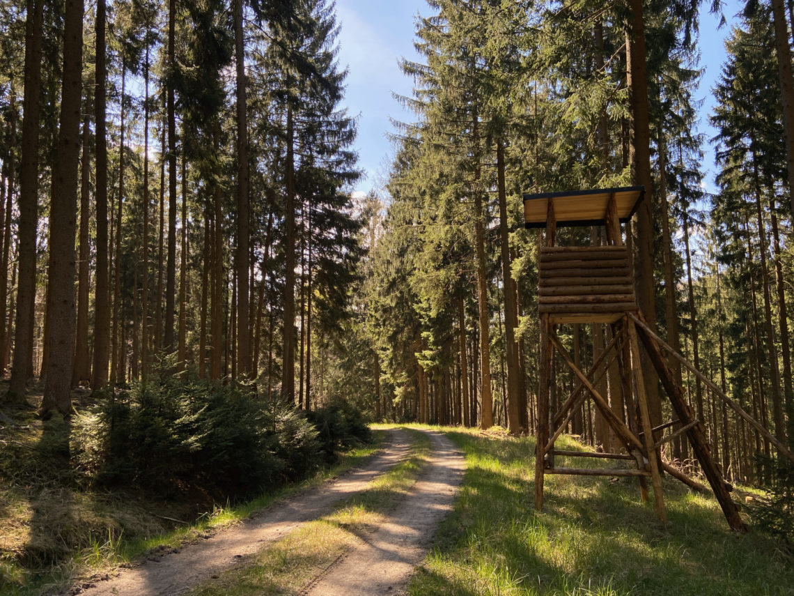 Wanderung Odenwald Bullau - Ebersberg