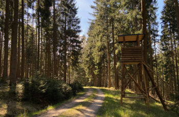 Wanderung Odenwald Bullau - Ebersberg