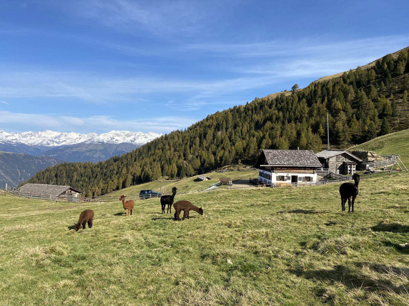Südtirol 2020 - Hirzer
