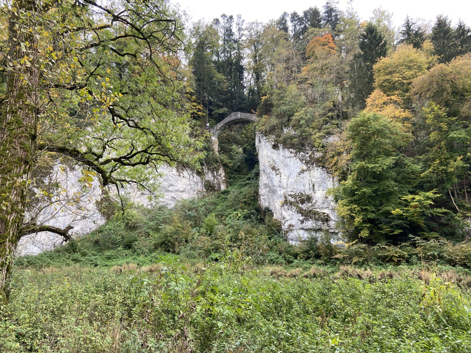 Herbst 2020: Donaufelsenwege bei Inzighofen