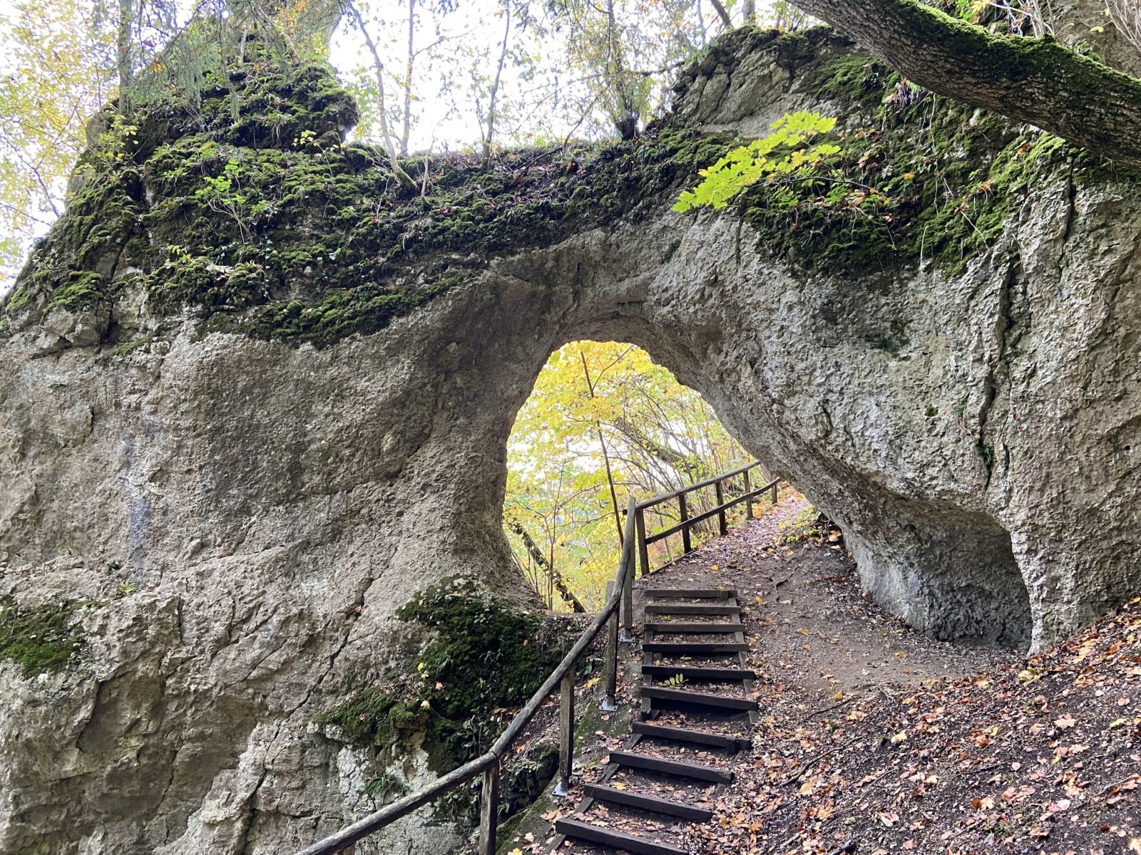 Herbst 2020: Donaufelsenwege bei Inzighofen