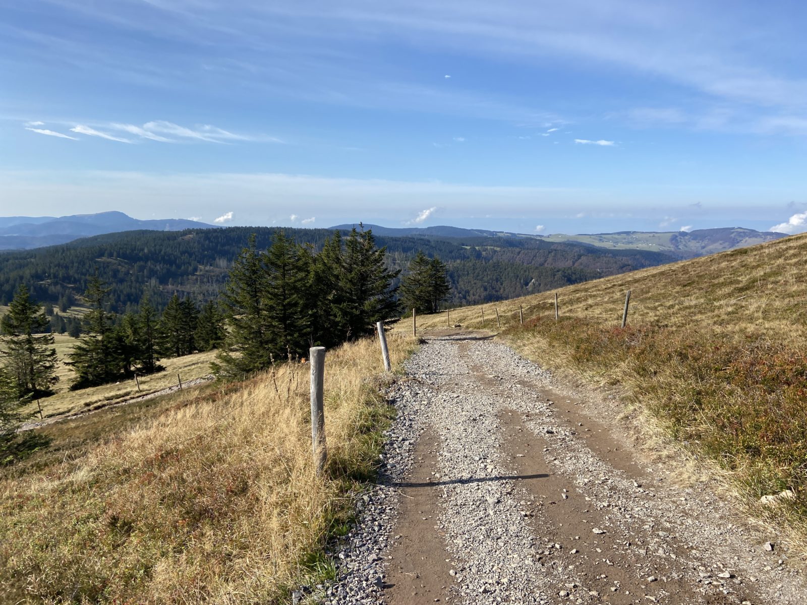 Herbst 2020: Feldbergsteig