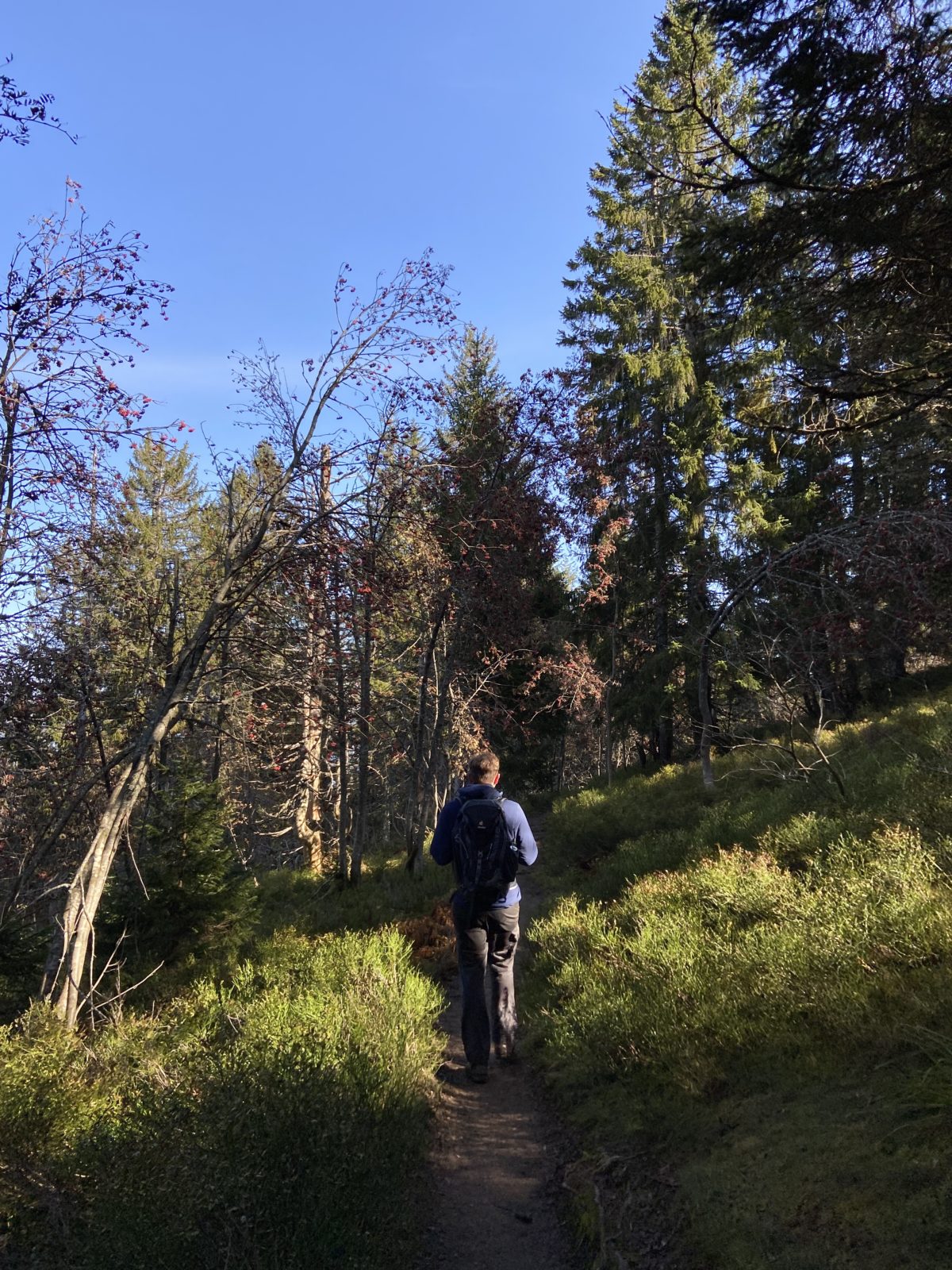 Herbst 2020: Feldbergsteig