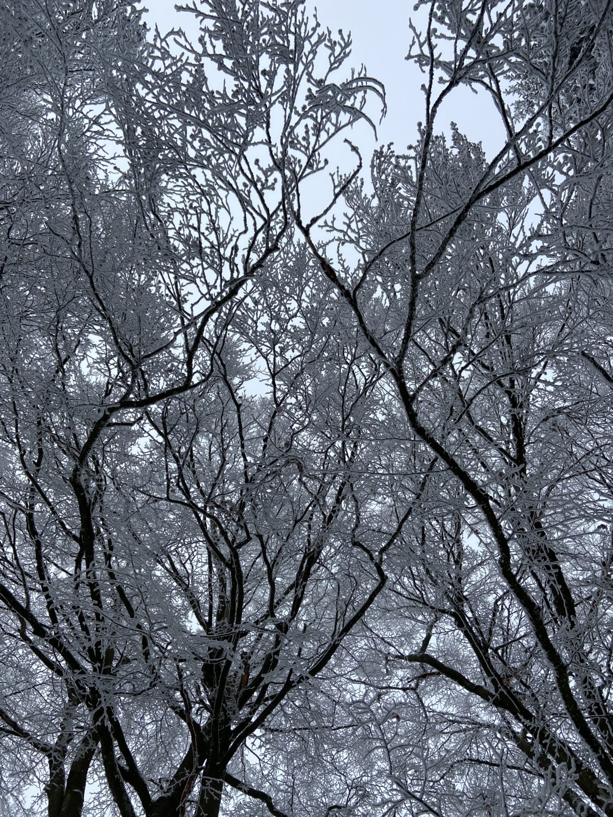 Gipfelsteig am Erbeskopf