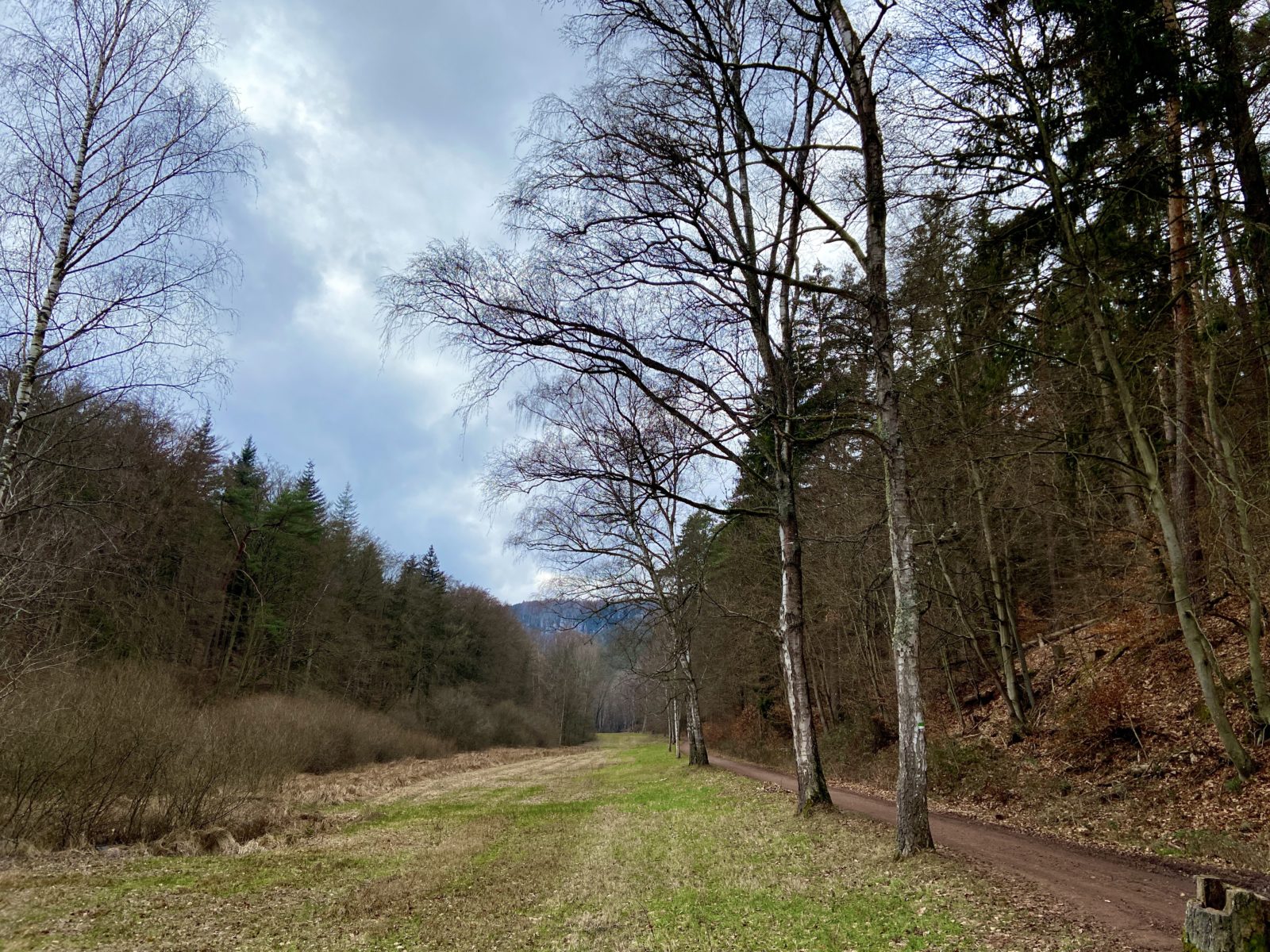 Pfalz: An den drei Eichen - Murmirnichtviel