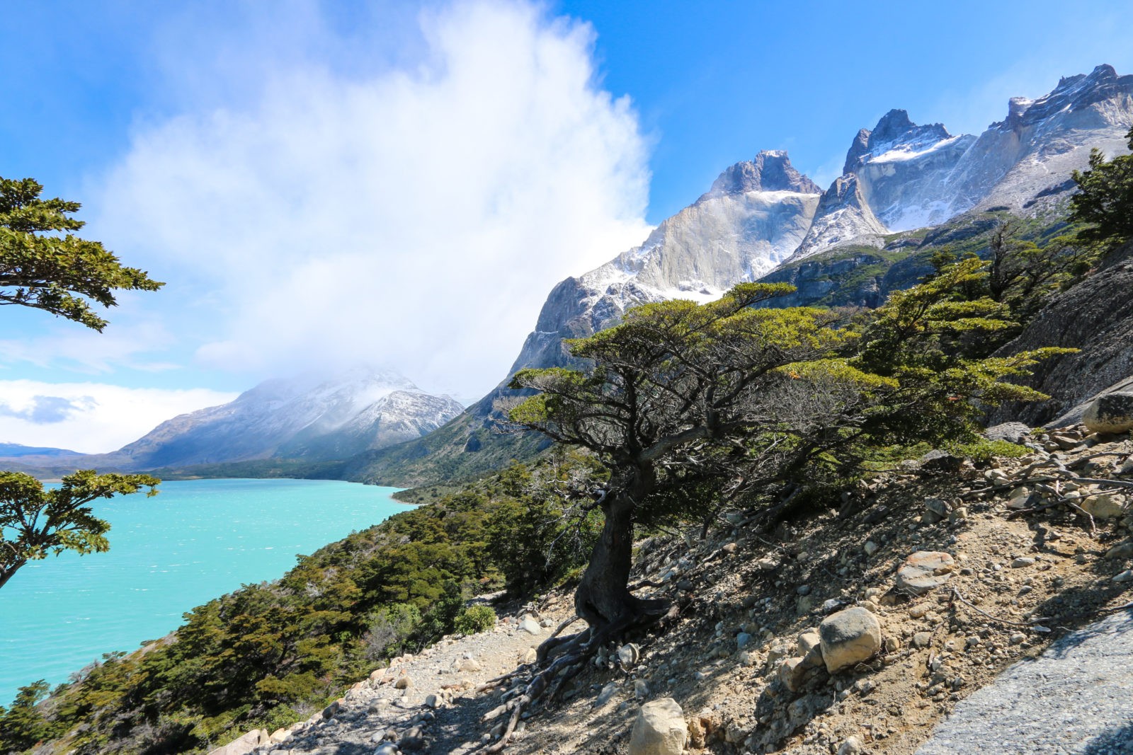 Torres del Paine W-Trek Patagonien