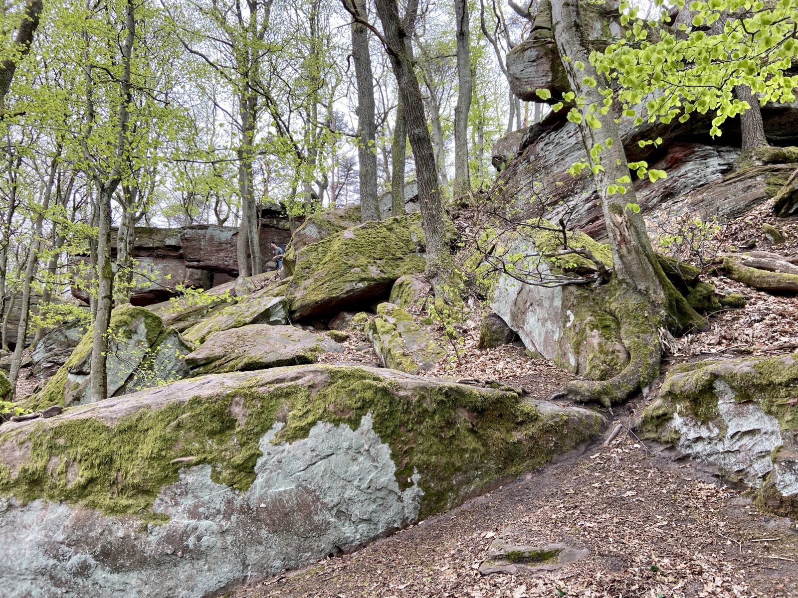 Kalmit-Felsenmeer-Tour ab Maikammer