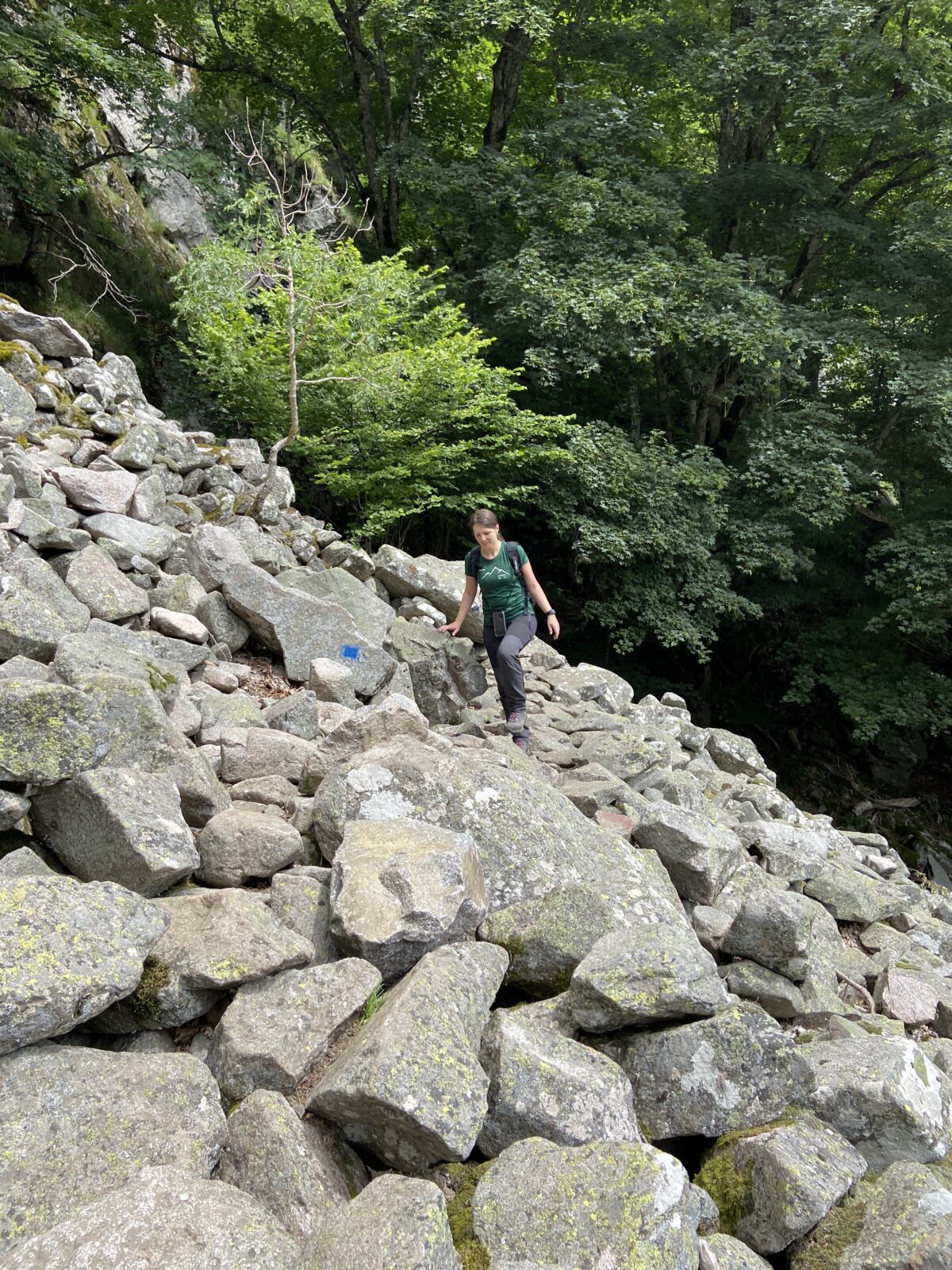 Wandern in den Vogesen: Felsenweg - Lac de Schiessrothried - Höhenkamm