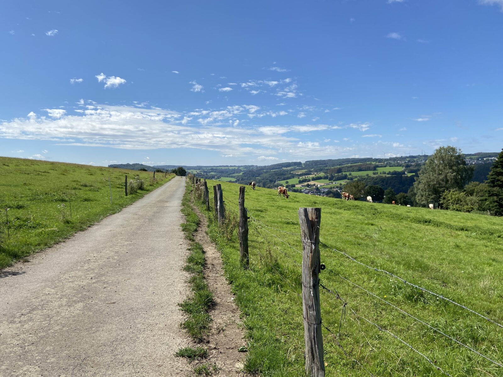 Wandern im Westerwald: Feuerschleife bei Bad Marienberg