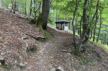 Wandern im Taunus: Kleine Runde ab Falkenstein