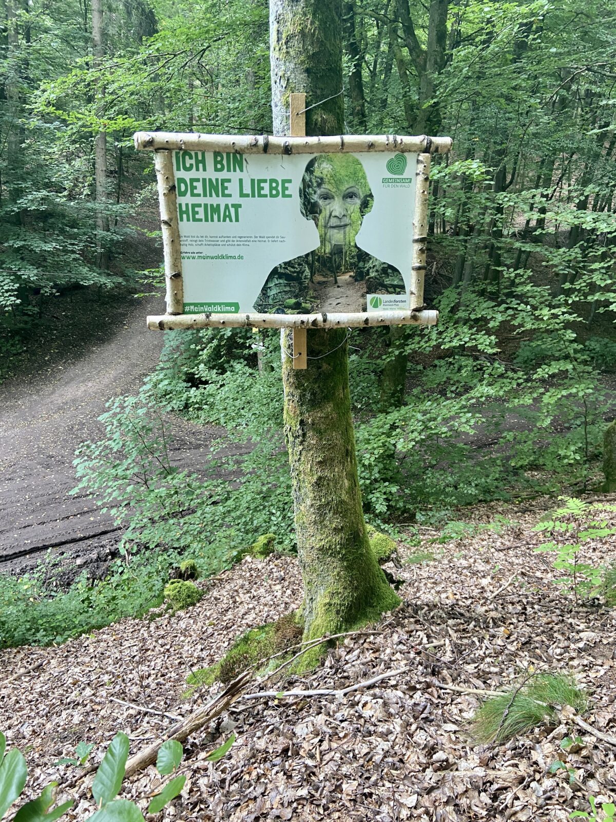 Wandern in der Pfalz: "Aussichten der Tuchmacher" bei Lambrecht