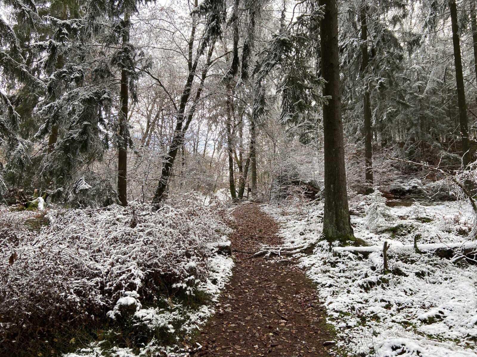 Wandern im Hunsrück: Traumschleife Heimat