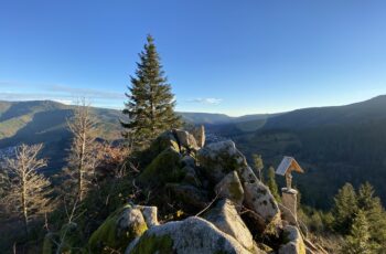 Wandern im Schwarzwald: Bermersbach - Rote Lache - Kleines Matterhorn - Giersteine