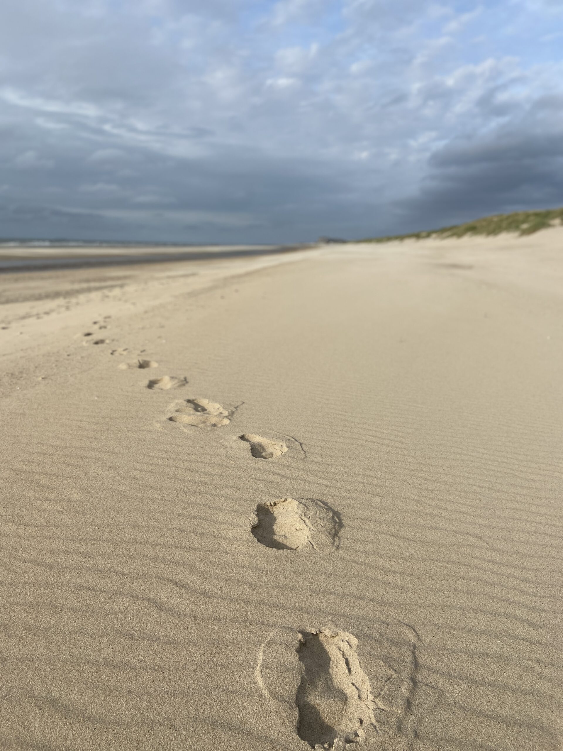 Unterwegs in Belgien: De Haan