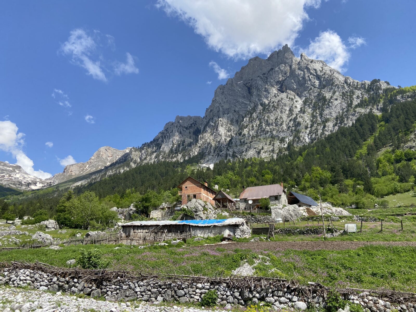 Wandern in Albanien: Von Rilindja über Kukaj zu Almen und Gipfel unterhalb Bregu i Prethit