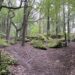 Wandern in der Pfalz: Ganerbenweg