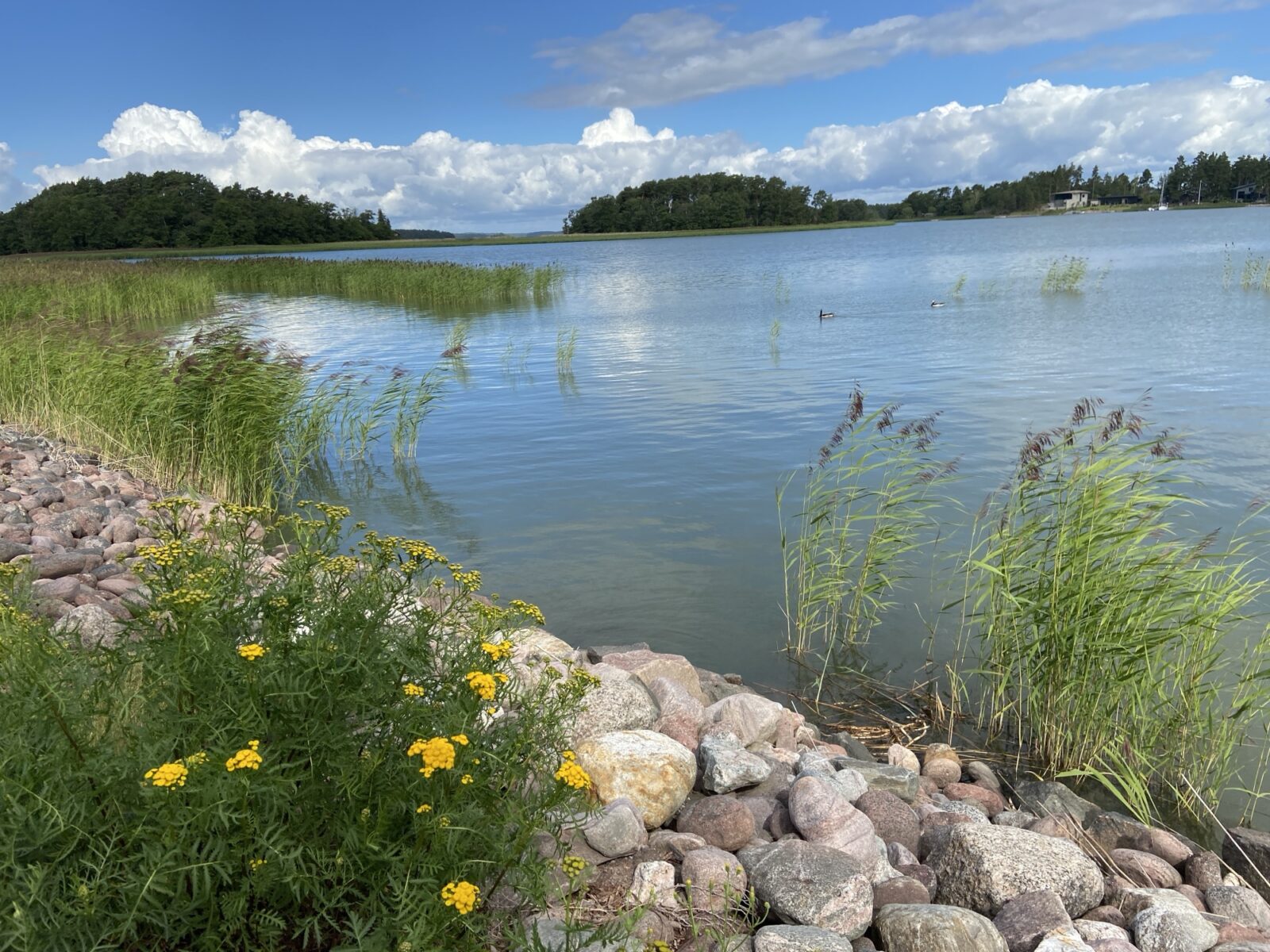 Roadtrip Nordkap: Naantali