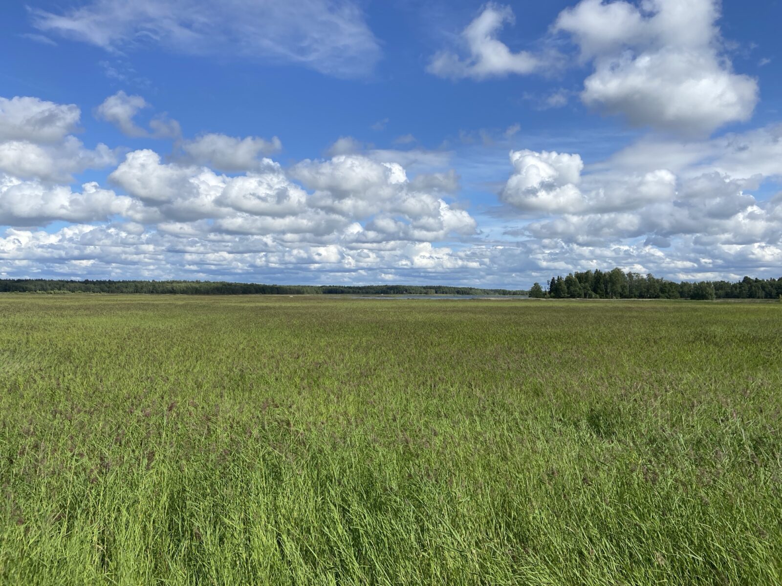 Roadtrip Nordkap: Selkämerie Nationalpark