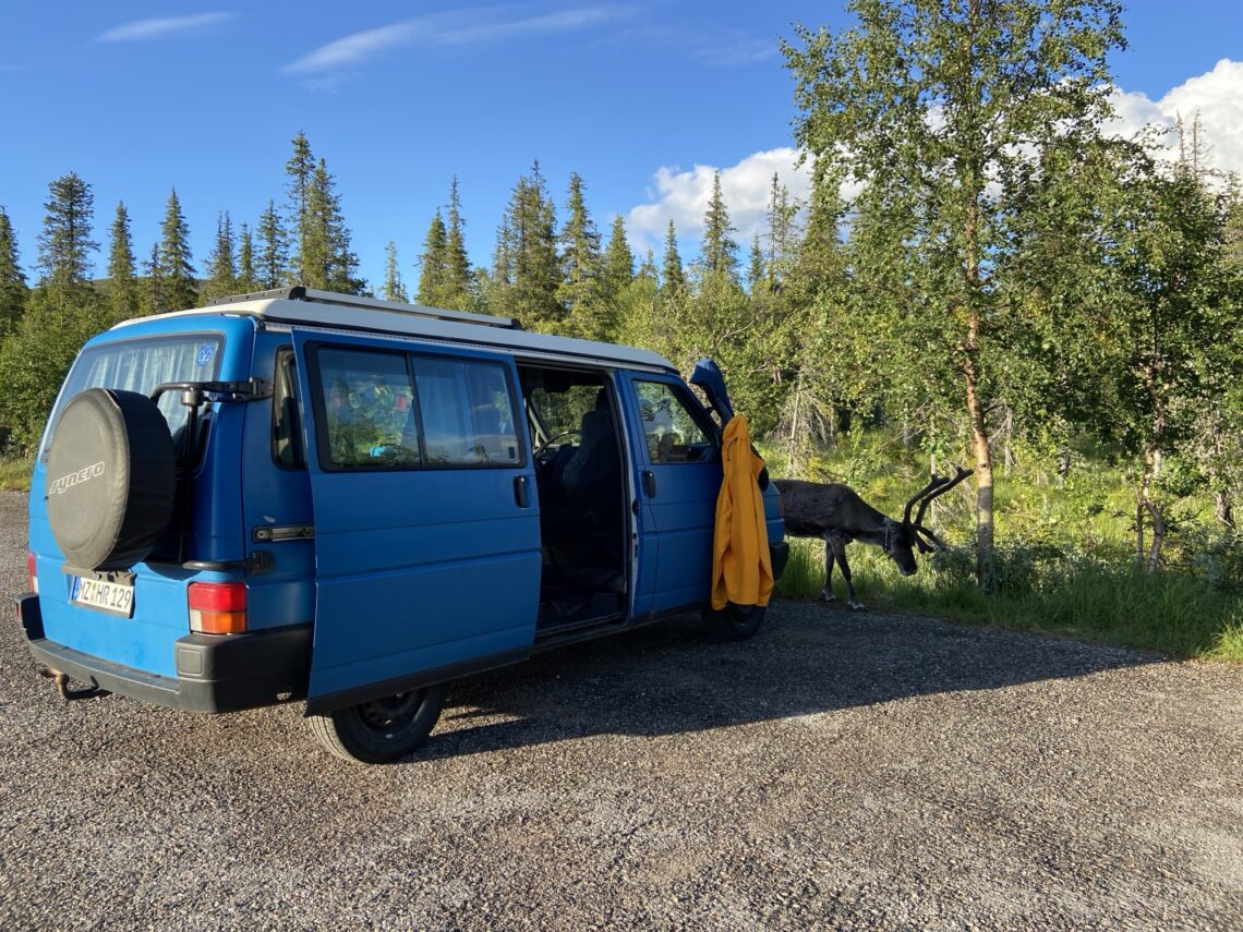 Roadtrip Nordkap: Pallas-Yllästunturin kansallispuisto