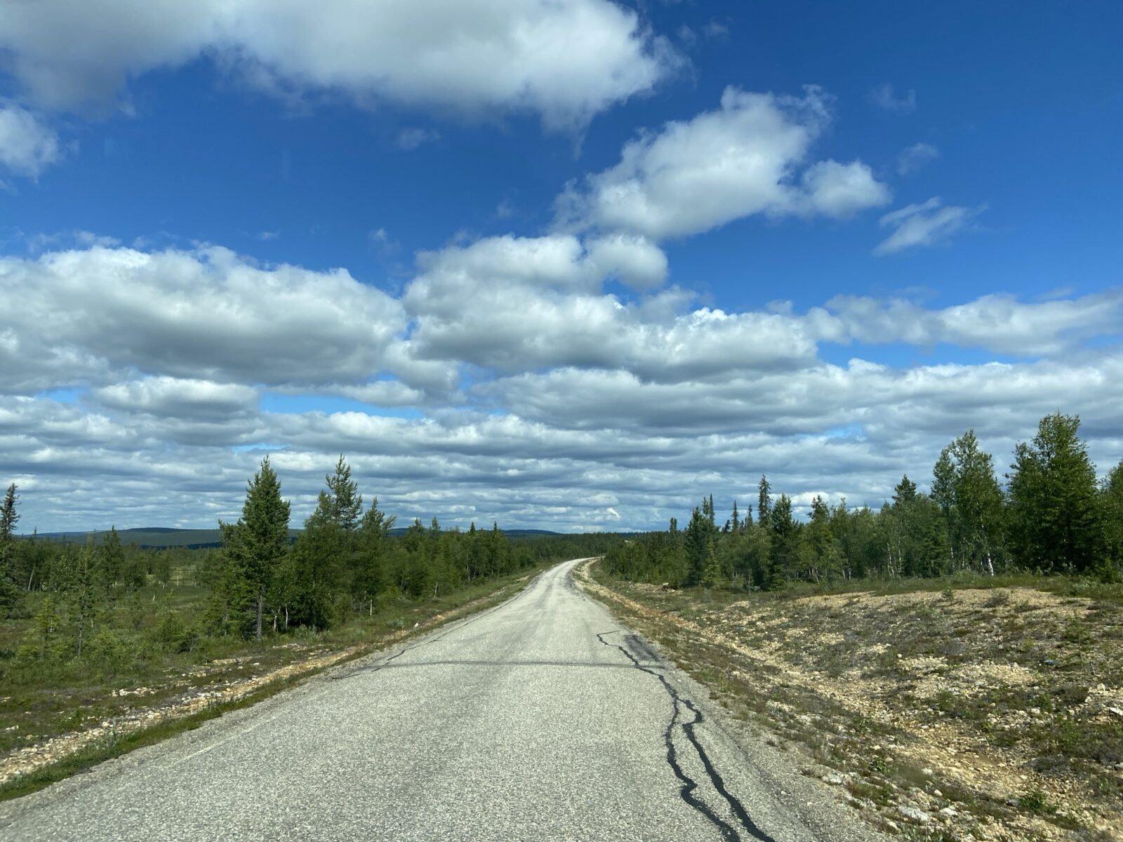 Roadtrip Nordkap: Pallas-Yllästunturin kansallispuisto