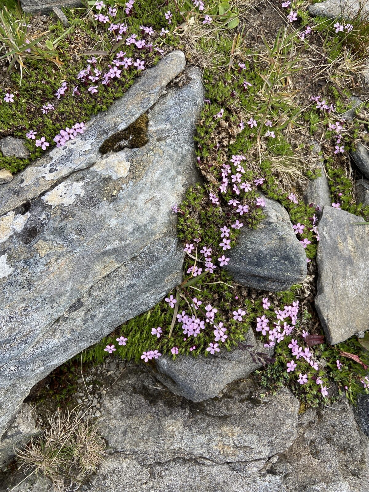 Roadtrip Nordkap: Wanderung zum "richtigen" Nordkap