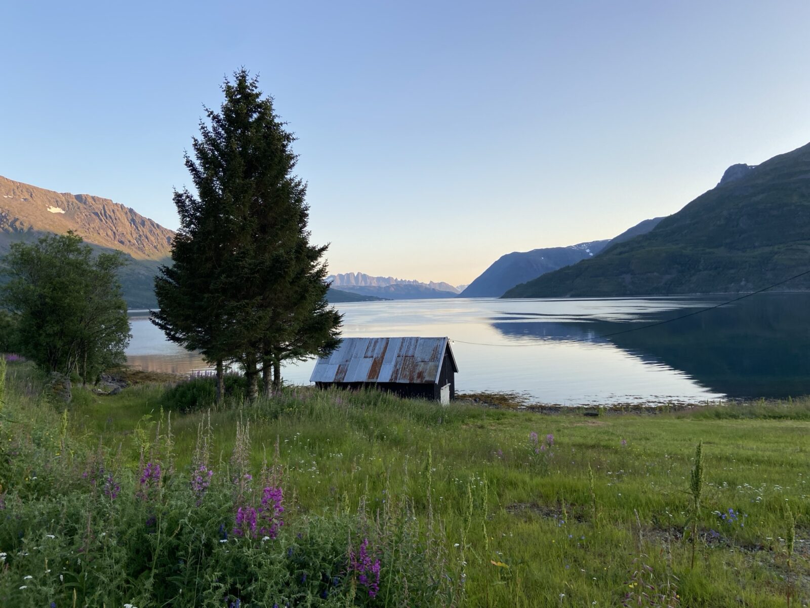 Roadtrip Nordkap: Stellplatz am Jøkelfjord