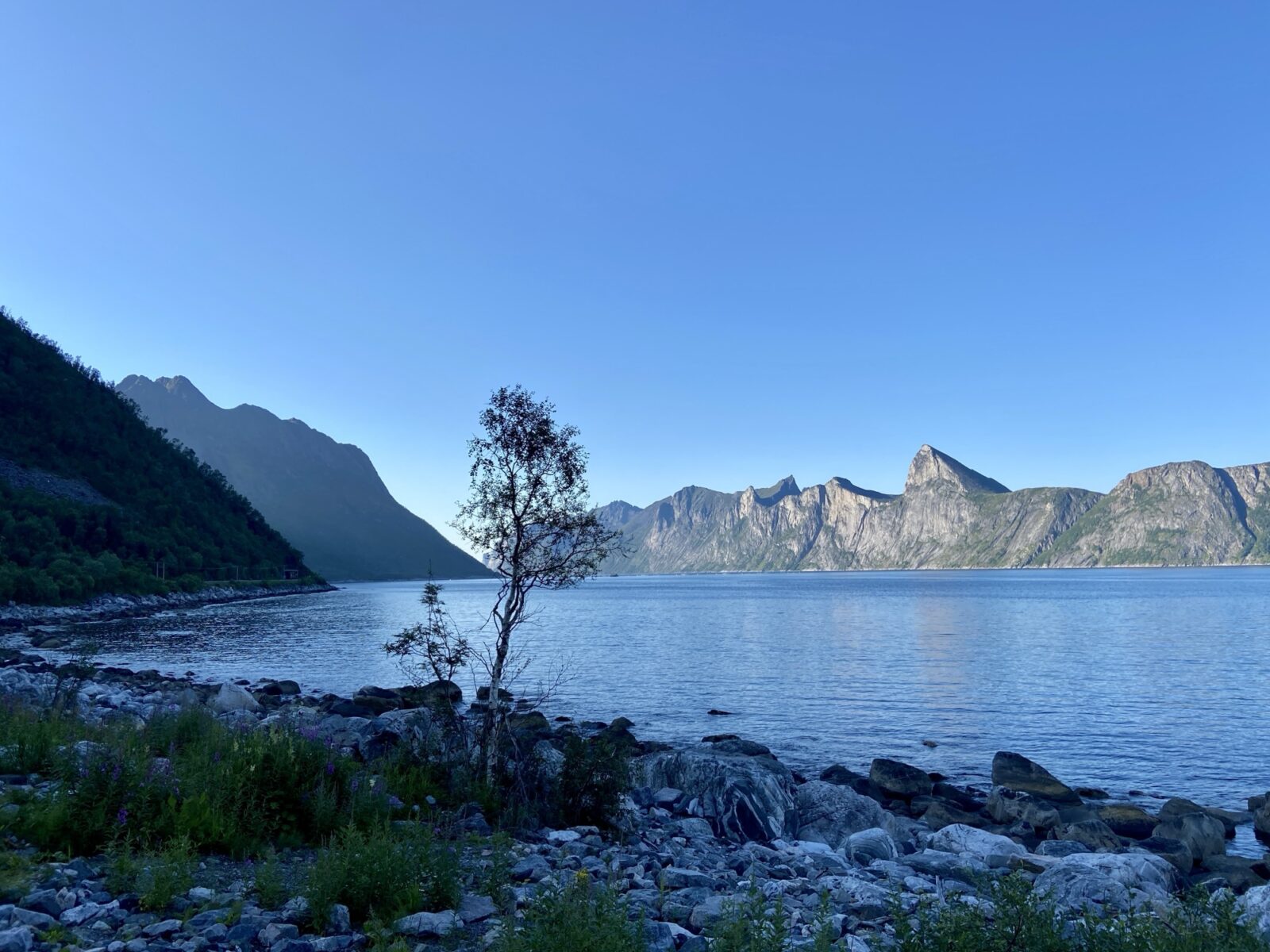 Roadtrip Nordkap: Stellplatz hinter Snorfelsfjal (Senja)