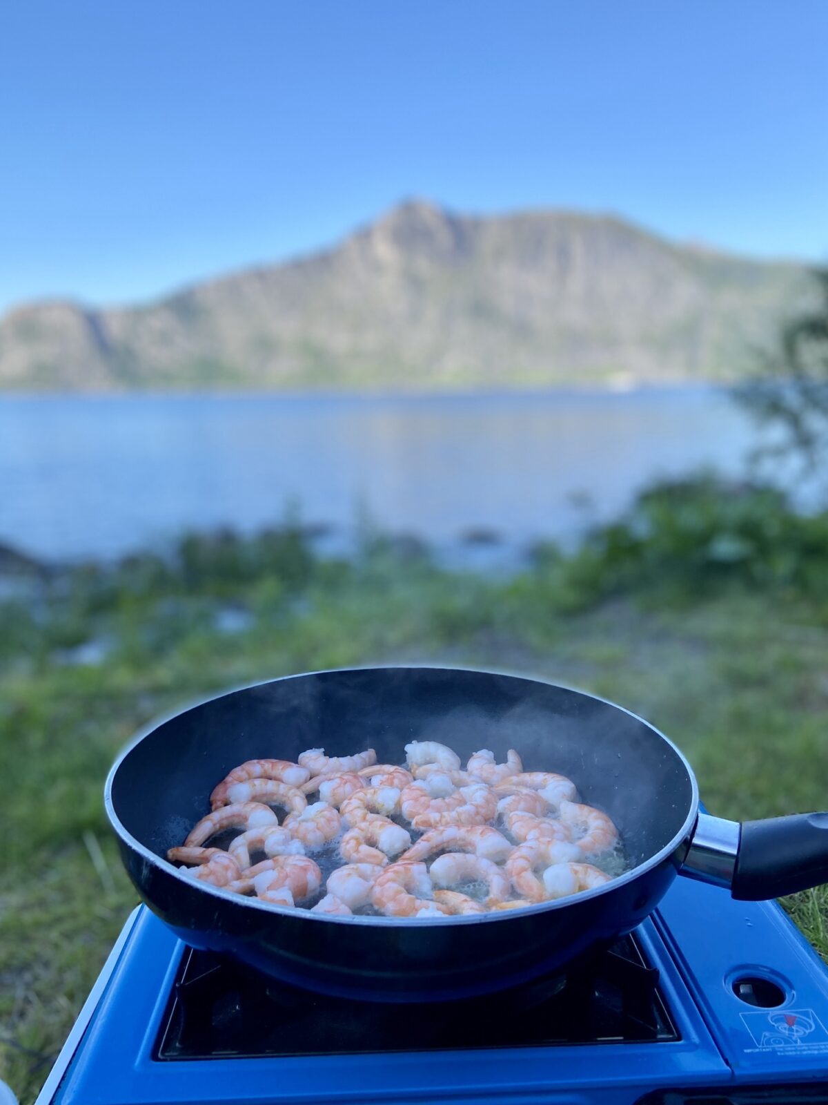 Roadtrip Nordkap: Stellplatz hinter Snorfelsfjal (Senja)