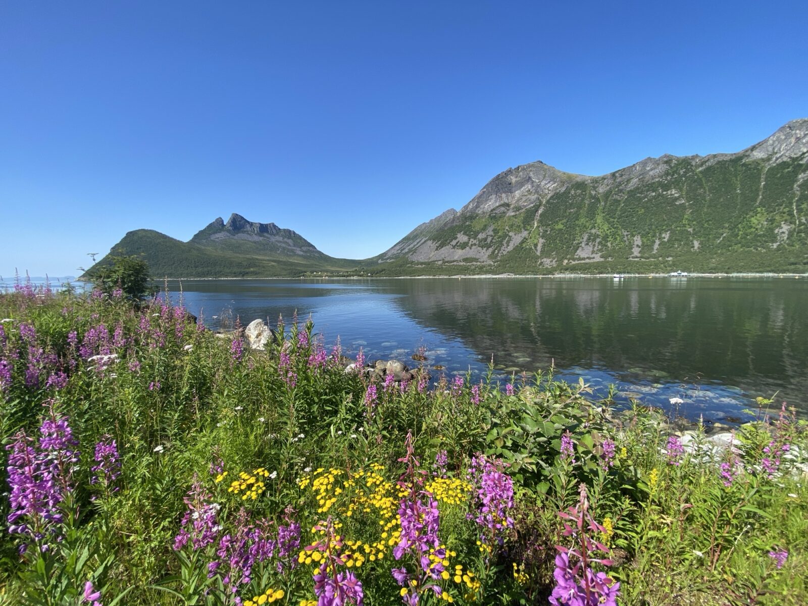 Roadtrip Nordkap: Gryllefjord