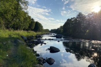 Roadtrip Nordkap: Stellplatz Forfjord