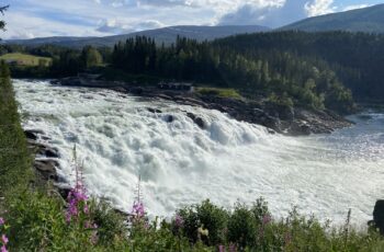 Roadtrip Nordkap: Laksforsen