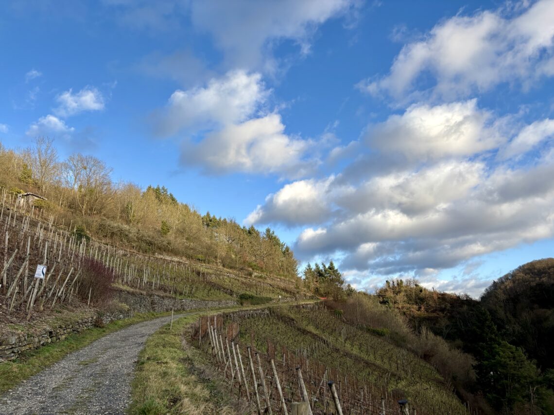 Wandern im Ahrtal: Altenahr Familienweg