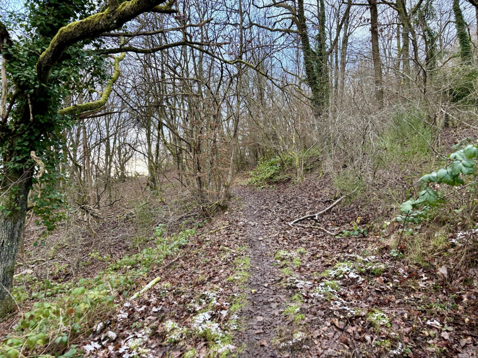 Wandern im Ahrtal: Altenahr Familienweg