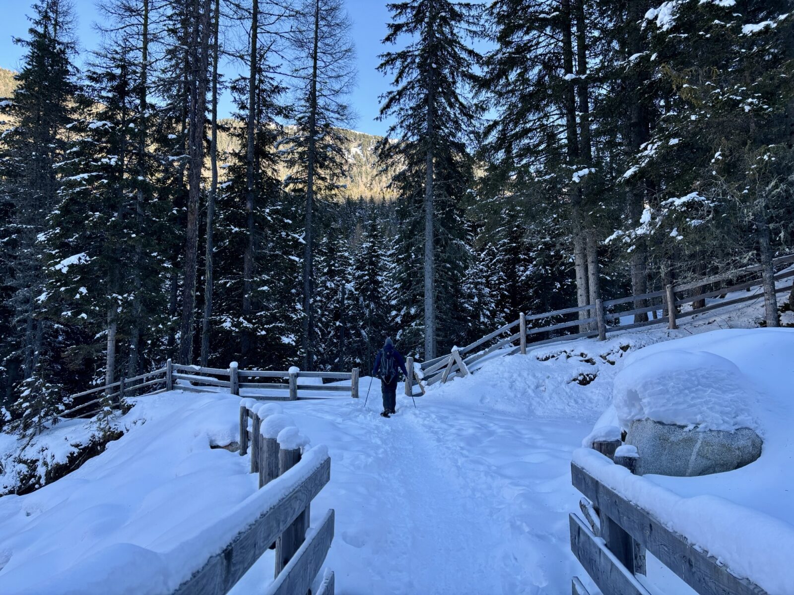 Wandern in Südtirol: Schneeschuhtour Furtalm