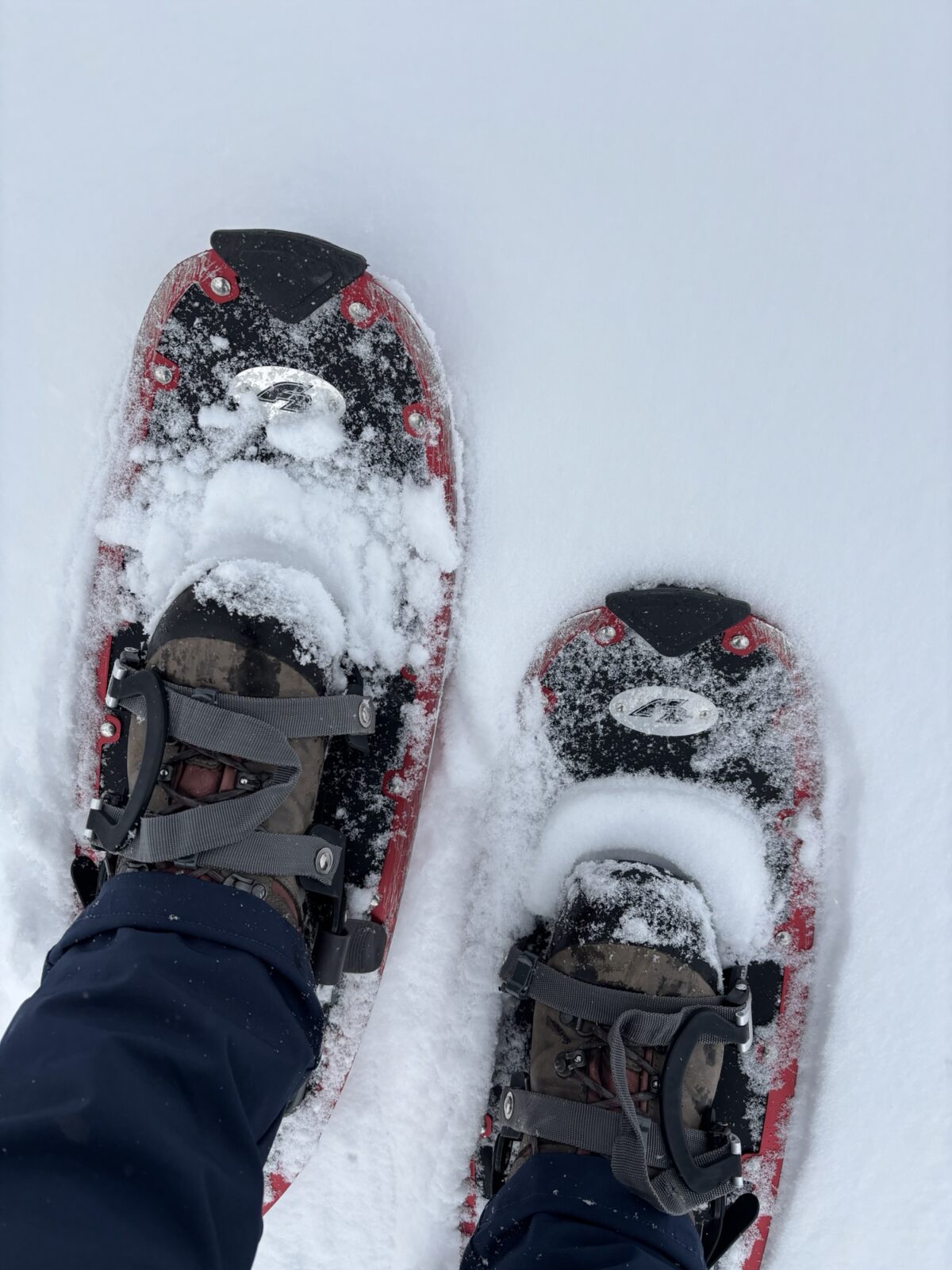 Wandern in Südtirol: Schneeschuh-Tour zur Kofleralm