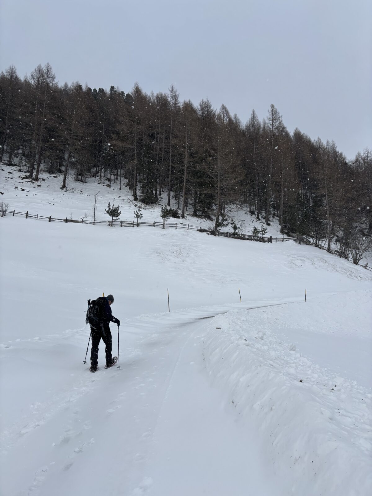 Wandern in Südtirol: Schneeschuh-Tour zur Kofleralm