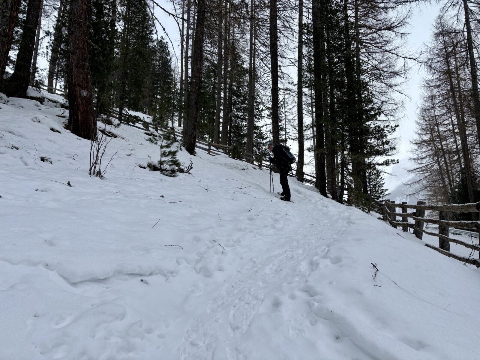 Wandern in Südtirol: Schneeschuh-Tour zur Kofleralm