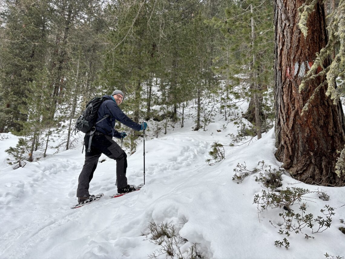 Wandern in Südtirol: Schneeschuh-Tour zur Kofleralm