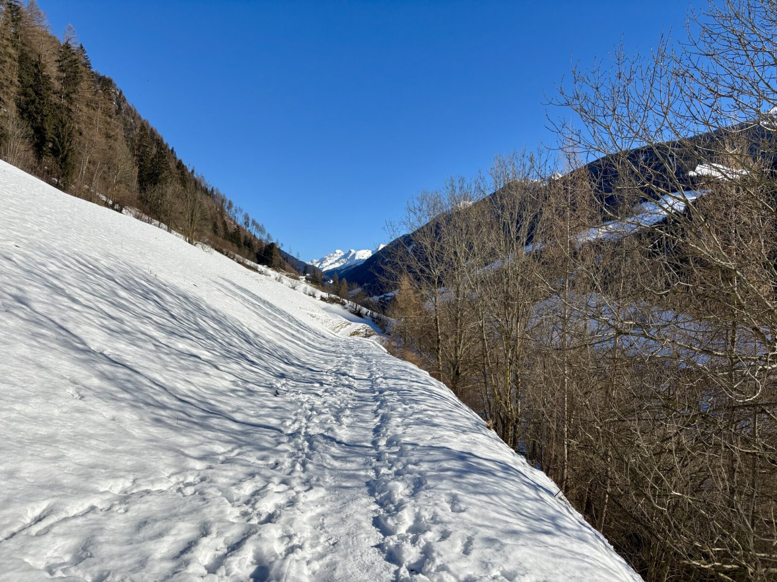 Wandern in Südtirol: Winterwanderung zur Bizathütte