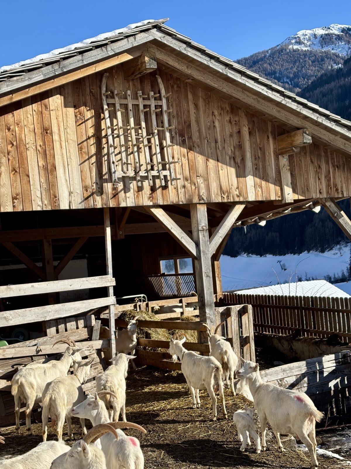 Wandern in Südtirol: Winterwanderung zur Bizathütte