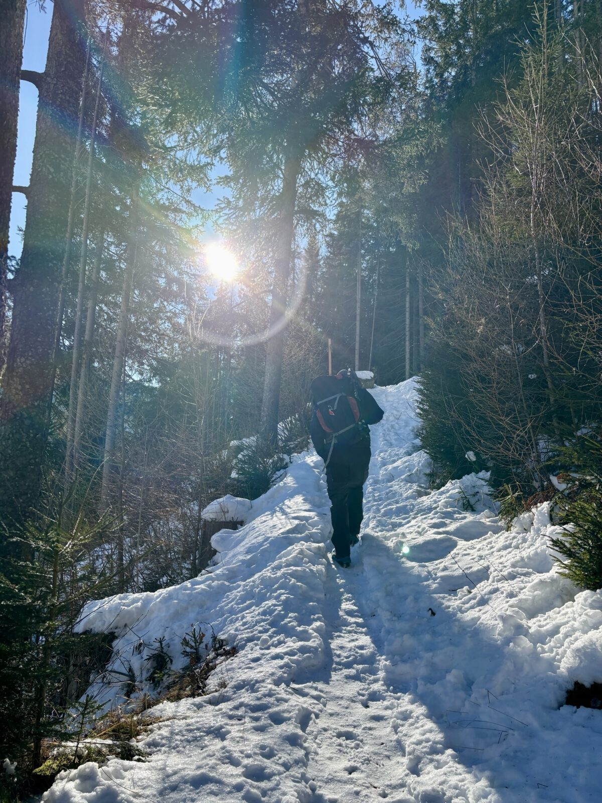 Wandern in Südtirol: Winterwanderung zur Bizathütte