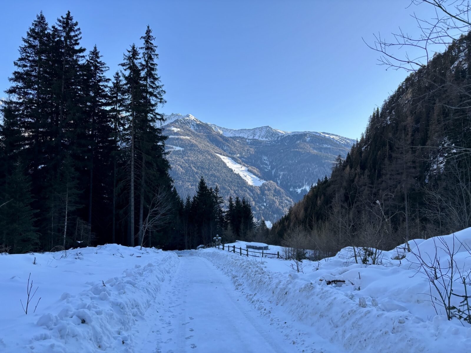 Wandern in Südtirol: Winterwanderung zur Bizathütte