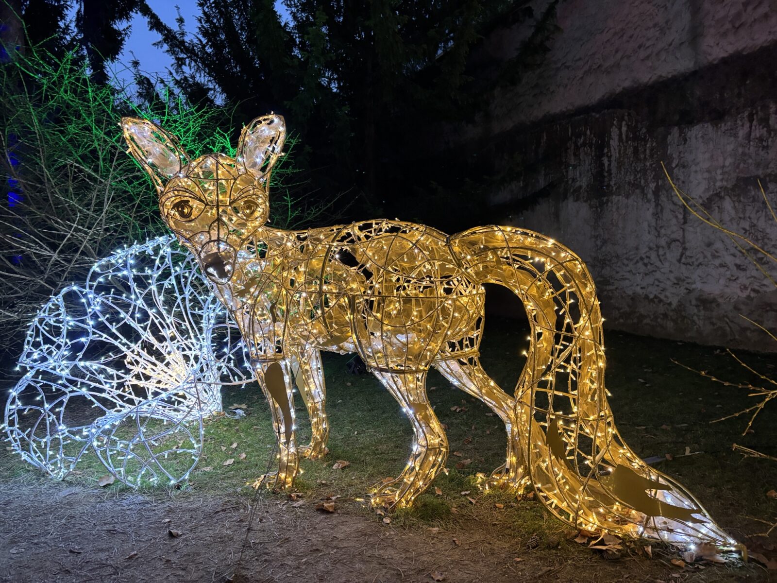 Unterwegs in Österreich: Lumagica in Innsbruck