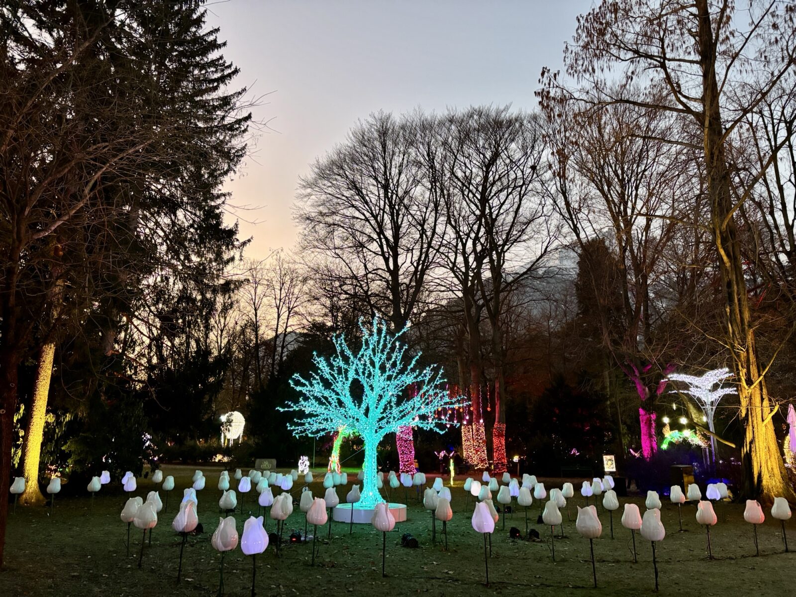 Unterwegs in Österreich: Lumagica in Innsbruck