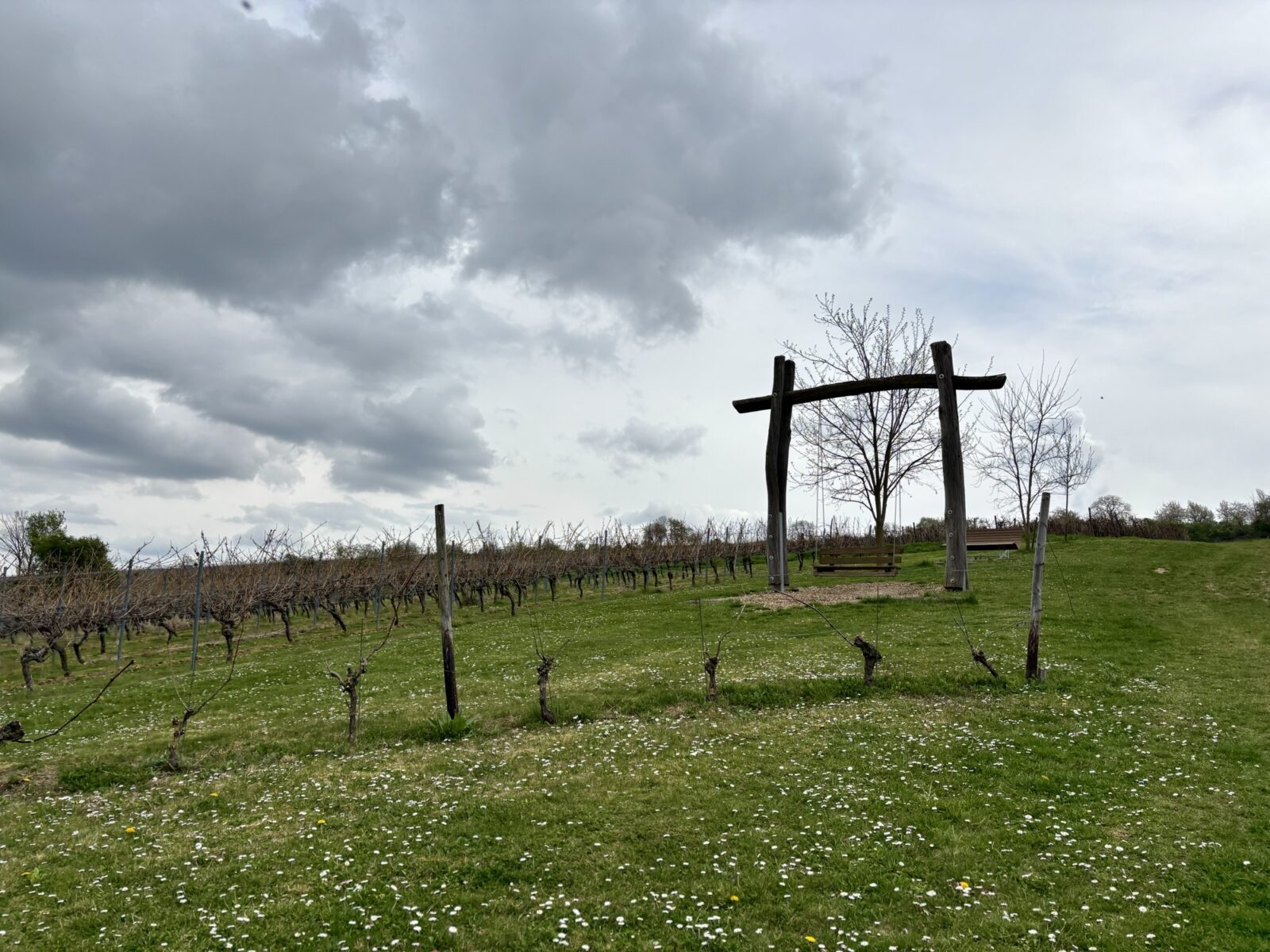 Wandern in Rheinhessen: Engelstädter Aussichtsroute