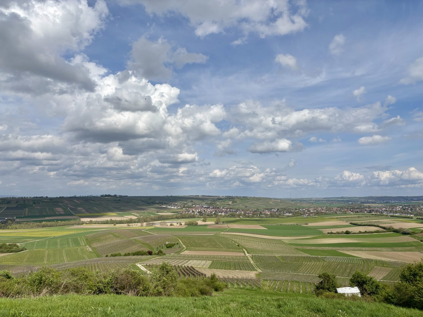 Wandern in Rheinhessen: Engelstädter Aussichtsroute