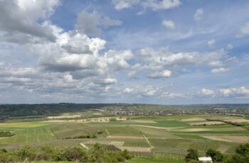Wandern in Rheinhessen: Engelstädter Aussichtsroute