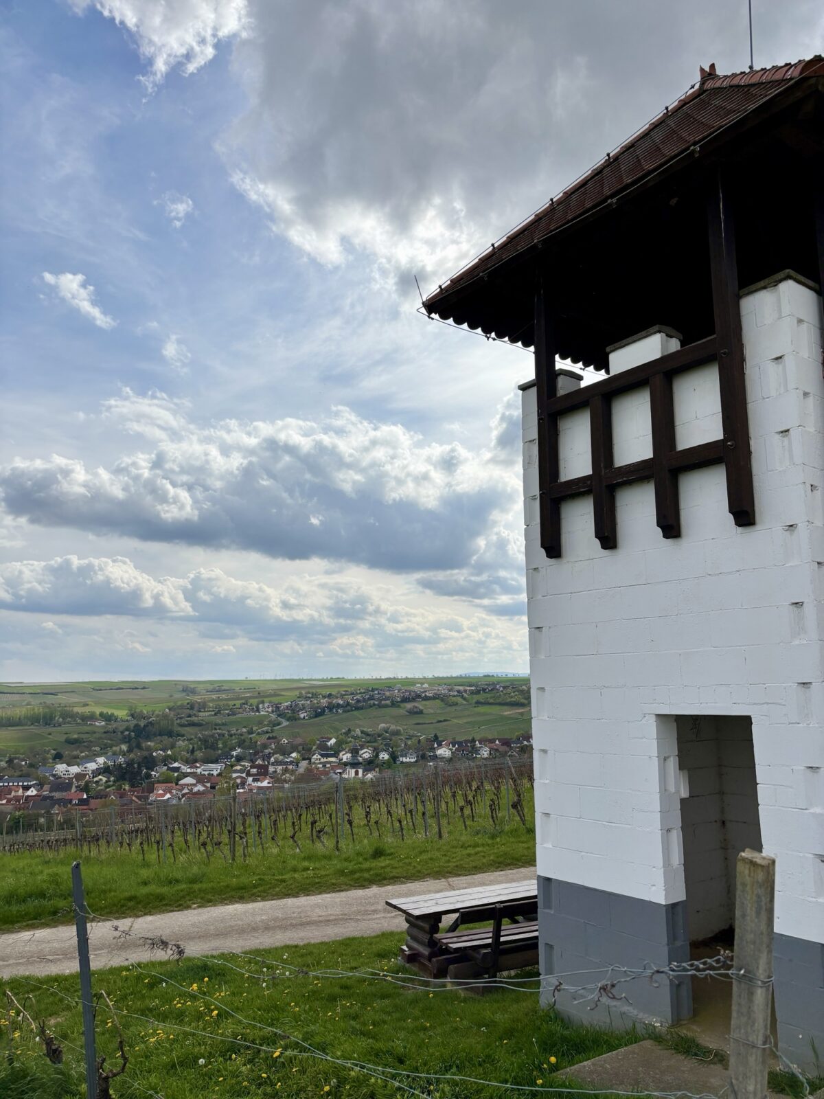 Wandern in Rheinhessen: Engelstädter Aussichtsroute