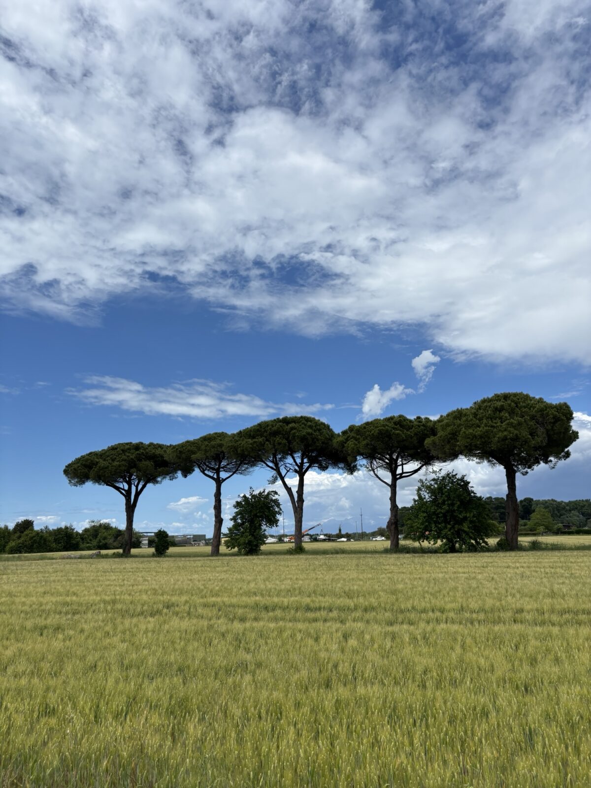 Roadtrip Sardinien: Von Marina di Pisa nach Pisa mit dem Rad